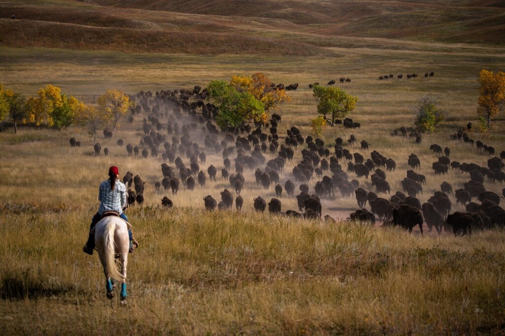 The Great American West - Bildarchiv