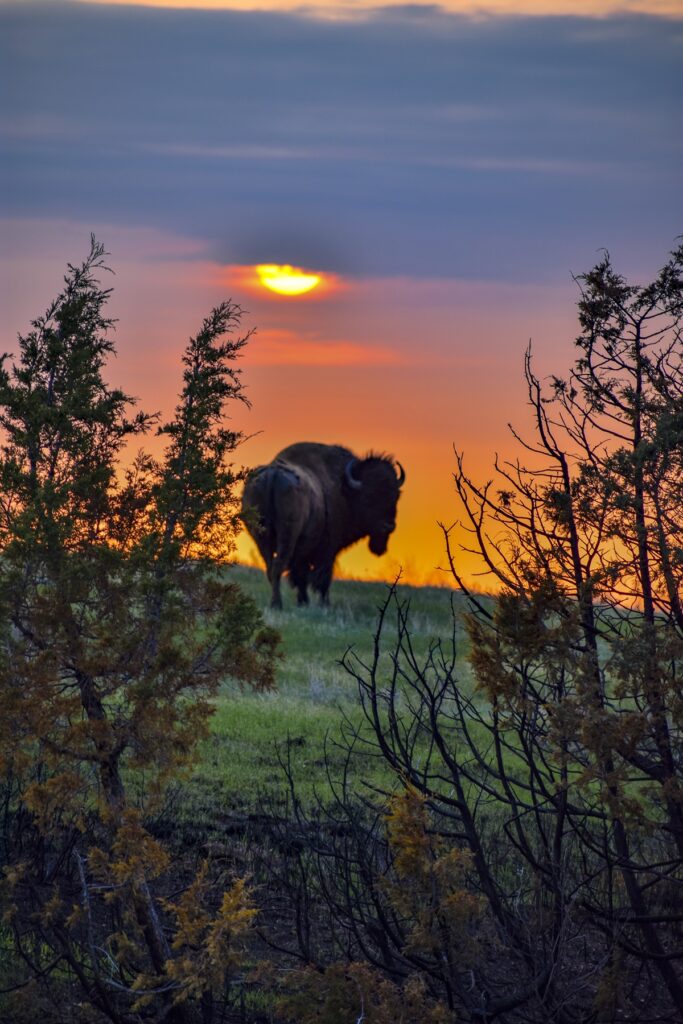 The Great American West - Bildarchiv